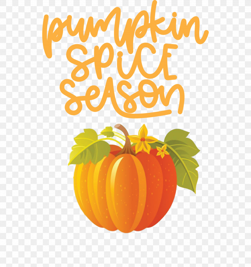 Autumn Pumpkin Spice Season Pumpkin, PNG, 2824x3000px, Autumn, Flower, Orange, Pumpkin, Royaltyfree Download Free