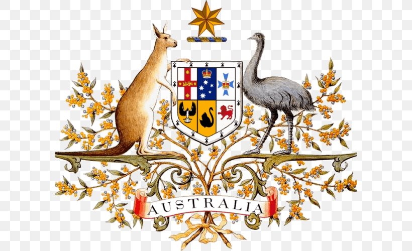 Coat Of Arms Of Australia Government Of Australia Geography Of Australia, PNG, 600x500px, Australia, Beak, Coat Of Arms, Coat Of Arms Of Australia, Commonwealth Of Nations Download Free