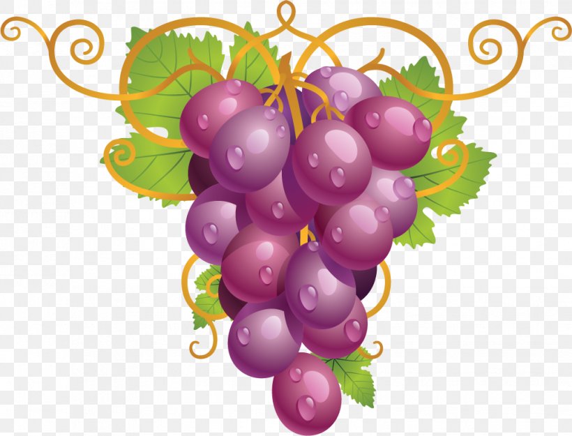 Common Grape Vine Wine Grape Leaves Clip Art, PNG, 1019x777px, Common Grape Vine, Flowering Plant, Food, Fruit, Grape Download Free