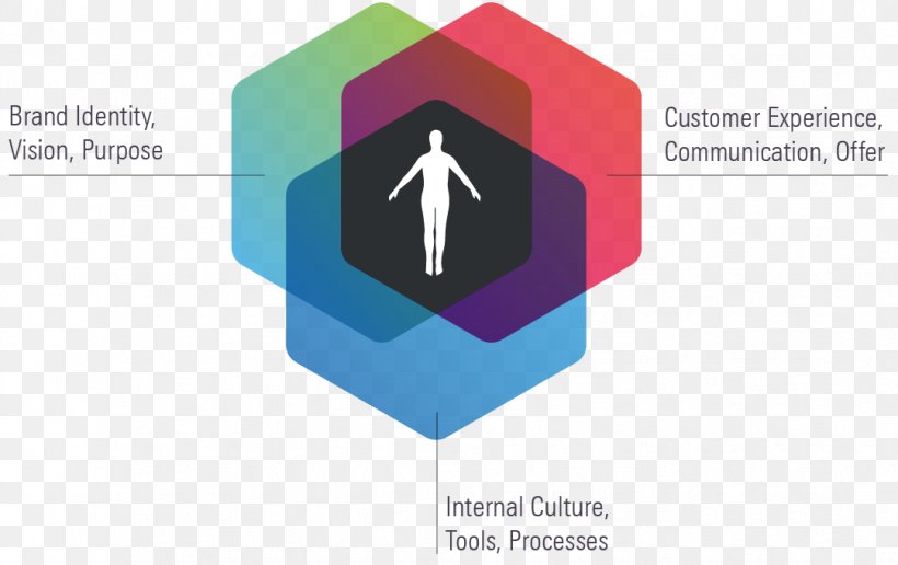 Logo Human-centered Design Brand Business User-centered Design, PNG, 1081x681px, Logo, Brand, Business, Consultant, Diagram Download Free
