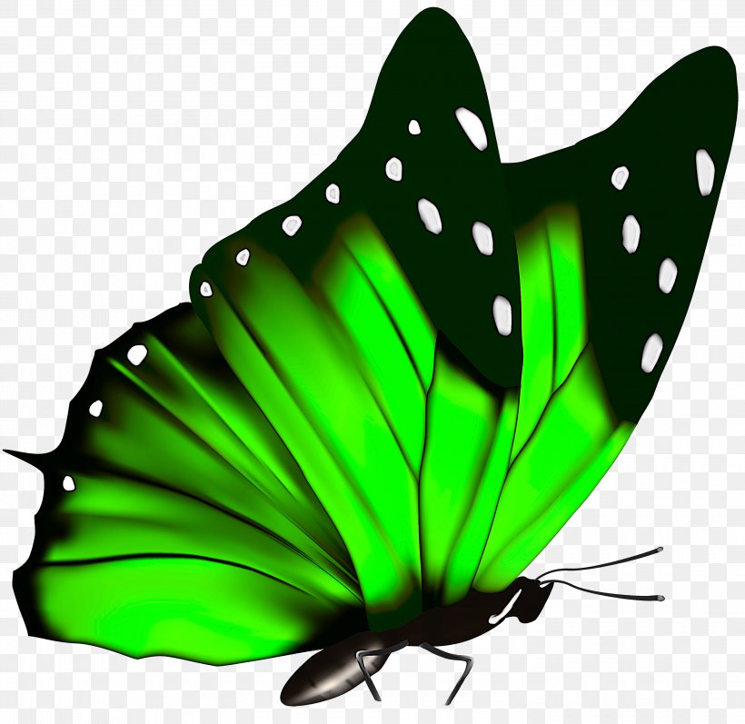 Butterfly Insect Green Moths And Butterflies Pollinator, PNG, 3000x2918px, Butterfly, Brushfooted Butterfly, Green, Insect, Leaf Download Free