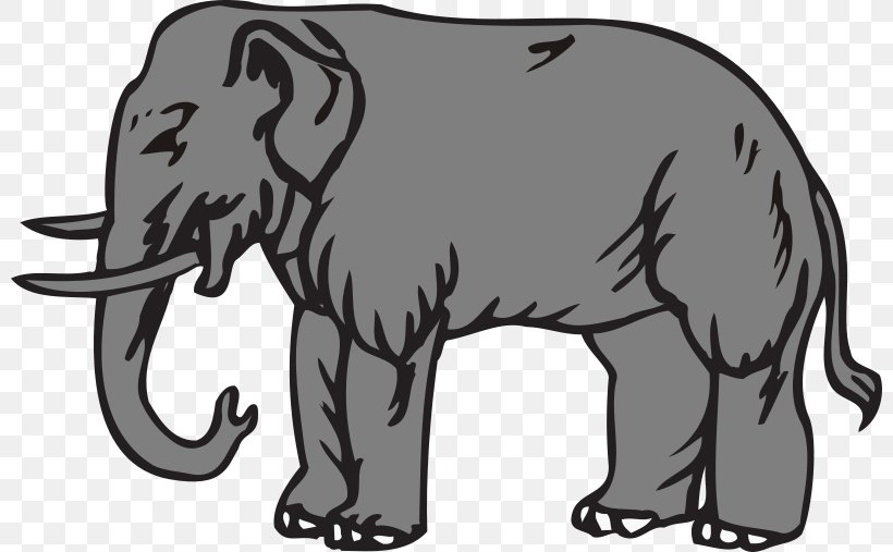 Centro Sur Symbol Clip Art, PNG, 800x507px, Centro Sur, African Elephant, Bear, Black And White, Carnivoran Download Free