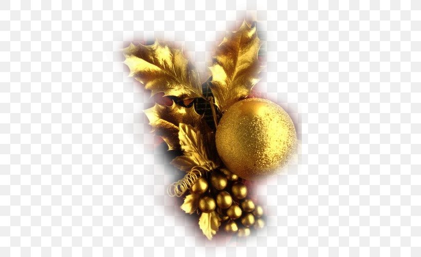 Christmas Ornament Rua Augusto Dourado, PNG, 500x500px, Christmas, Blingee, Christmas Decoration, Christmas Ornament, Fruit Download Free