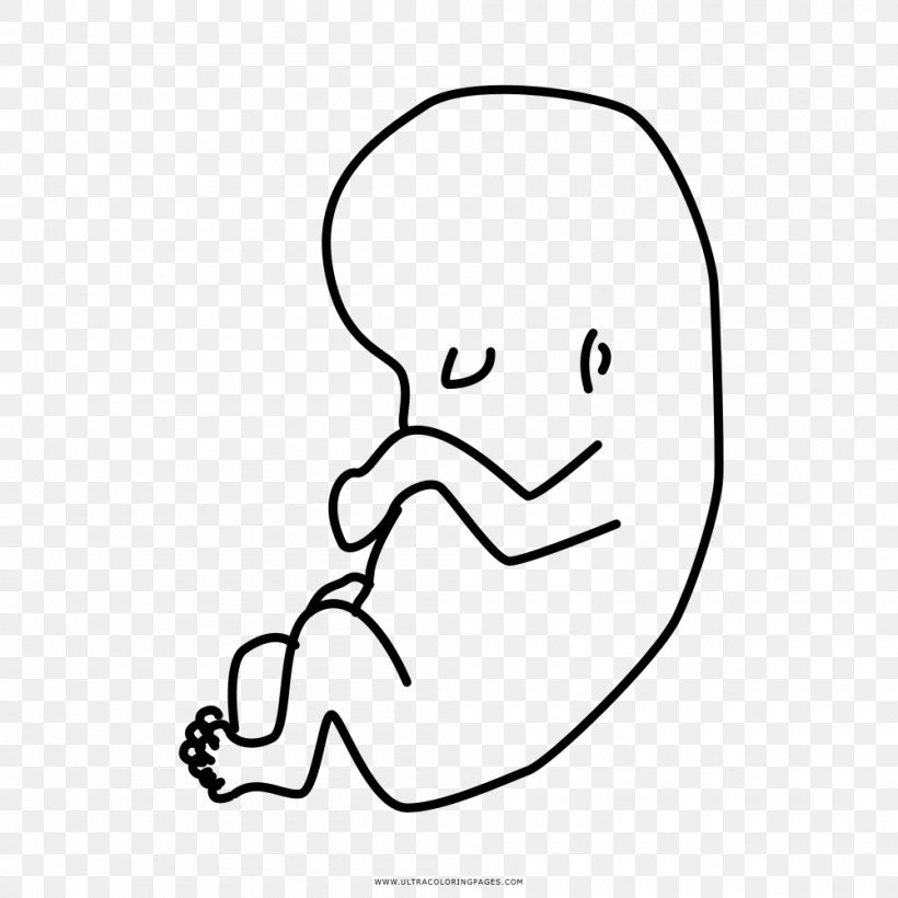 Drawing Coloring Book Thumb Child Fetus, PNG, 1000x1000px, Watercolor, Cartoon, Flower, Frame, Heart Download Free