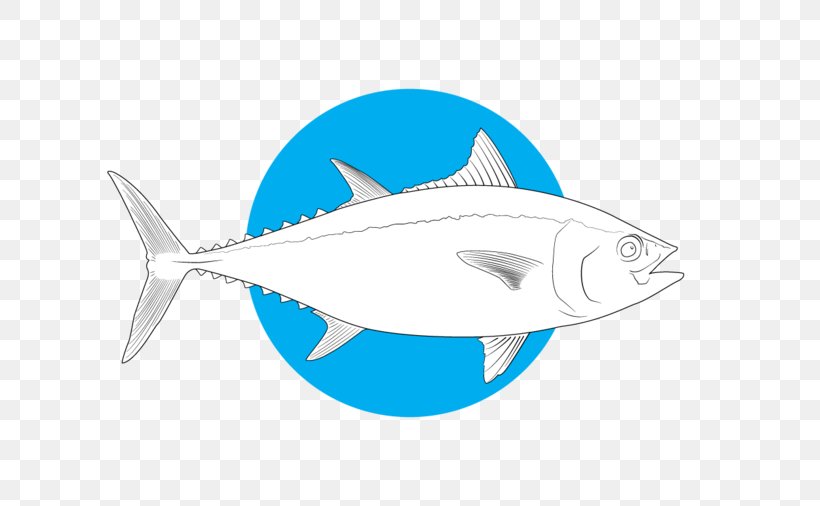 Shark Bony Fishes Marine Biology Salt Water Sportsman, PNG, 655x506px, Shark, Atlantic Bluefin Tuna, Bony Fish, Bony Fishes, Cartilaginous Fish Download Free