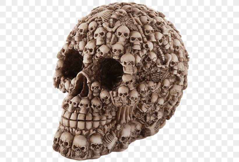 Skull Jewish Skeleton Collection Ossuary Collectable, PNG, 555x555px, Skull, Bone, Celtic Knot, Censer, Collectable Download Free