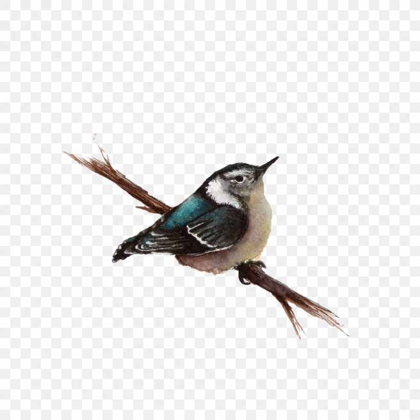 Bird Wren, PNG, 1056x1056px, Bird, Beak, Chickadee, Designer, Fauna Download Free