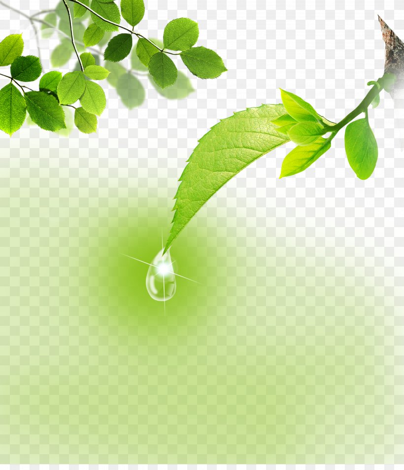 Download Icon, PNG, 2755x3200px, Cursor, Branch, Grass, Green, Leaf Download Free