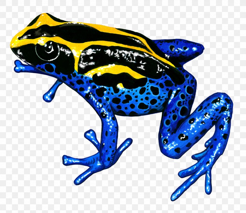 Tree Silhouette, PNG, 2182x1889px, Toad, Animal, Blue Poison Dart Frog, Bullfrog, Drawing Download Free