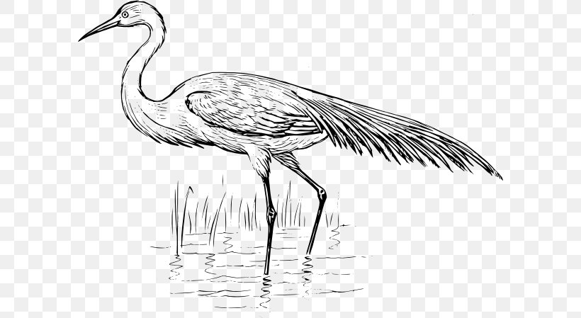 Blue Crane Bird Heron Egret, PNG, 600x449px, Crane, Artwork, Beak, Bird, Black And White Download Free