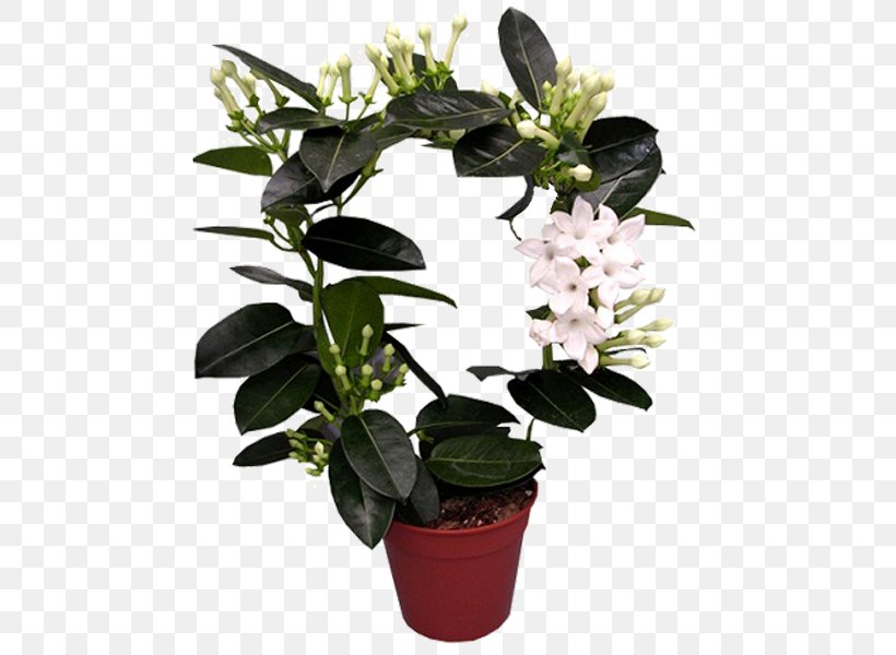 Houseplant Flowerpot Cut Flowers Garden Roses, PNG, 600x600px, Houseplant, Artificial Flower, Azalea, Calatheas, Chrysanthemum Download Free