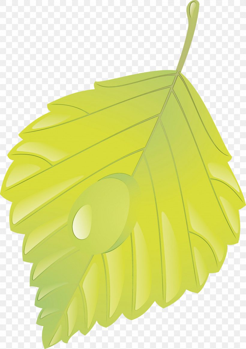Leaf Green Yellow Tree Plant, PNG, 2117x3000px, Watercolor, Green, Leaf, Paint, Plant Download Free