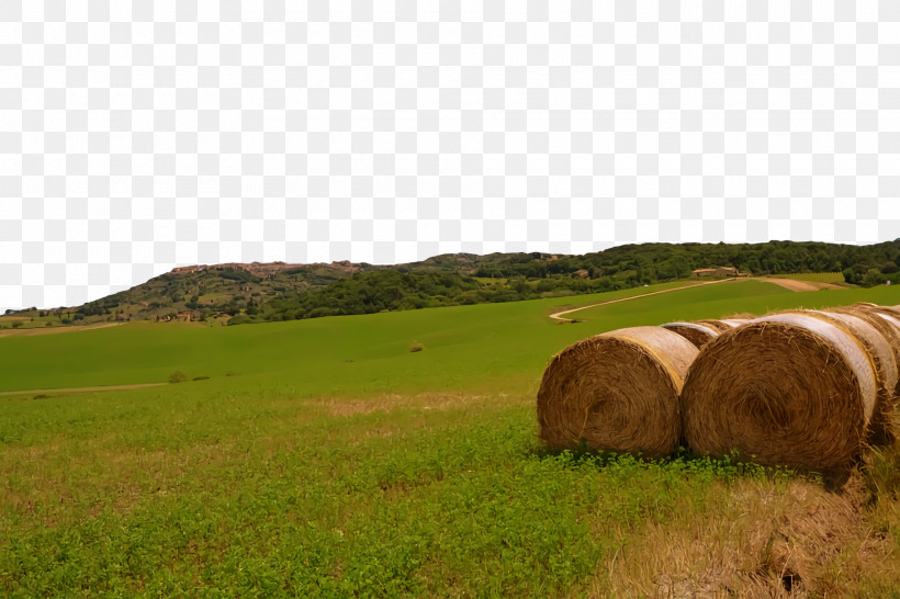 Rural Area Grassland Ecoregion Farm Straw, PNG, 1920x1280px, Rural Area, Ecoregion, Farm, Grassland, Straw Download Free