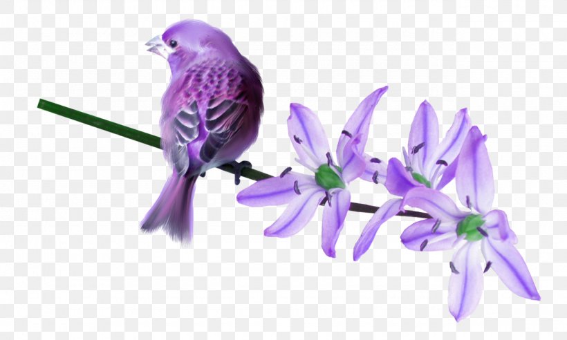 Bird Owl Lilac Clip Art, PNG, 1280x769px, Bird, Animation, Beak, Branch, Common Pet Parakeet Download Free