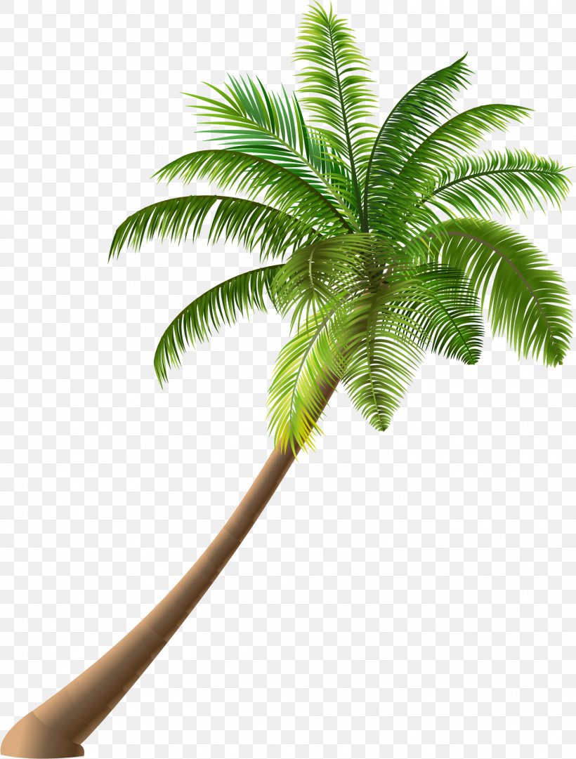 Cartoon Summer Royalty-free Illustration, PNG, 1501x1980px, Cartoon, Arecales, Coconut, Date Palm, Flowerpot Download Free