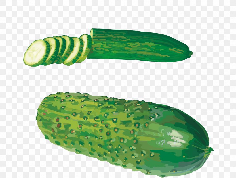 Cucumber West Indian Gherkin Vegetable Clip Art, PNG, 1815x1374px, Cucumber, Armenian Cucumber, Cucumber Gourd And Melon Family, Cucumis, Food Download Free