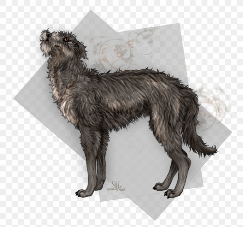 Dog Breed Scottish Deerhound Scotland Fur, PNG, 900x844px, Dog Breed, Breed, Carnivoran, Crossbreed, Dog Download Free