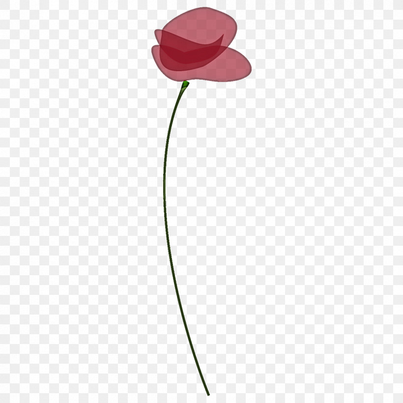 Poppy Flower, PNG, 1200x1200px, Poppy Flower, Anthurium, Flower, Pedicel, Petal Download Free