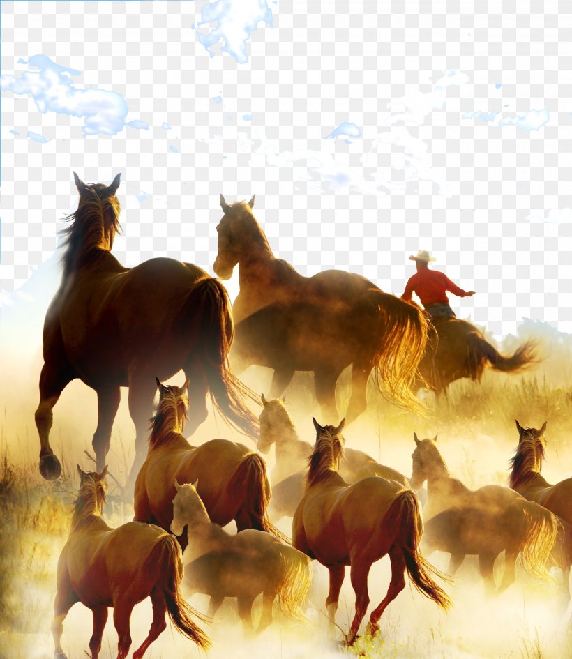 Stock Horse Cowboy Ranch Rodeo, PNG, 2560x2953px, American Frontier, Book, Book Cover, Cowboy, Ecoregion Download Free