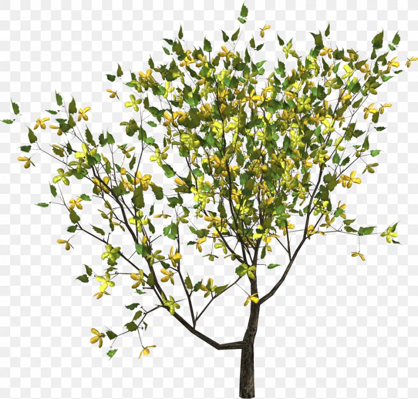 Tree Shrub Time Clip Art, PNG, 944x901px, Tree, Branch, Flower, Flowering Plant, Leaf Download Free