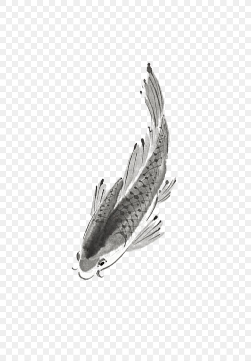 Common Carp Ink Wash Painting Download, PNG, 591x1181px, Common Carp, Black And White, Bmp File Format, Designer, Feather Download Free