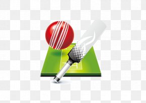 cricket images cricket transparent png free download cricket images cricket transparent png