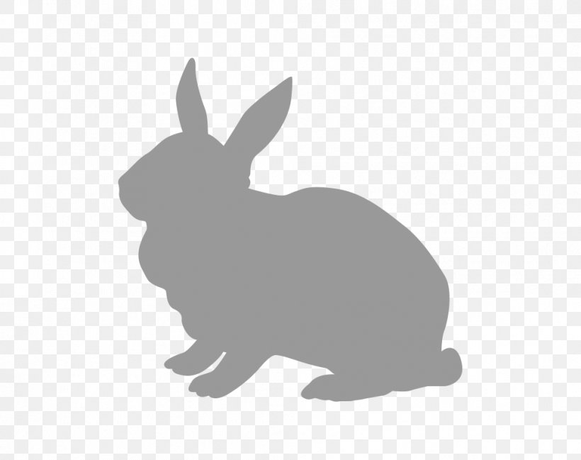 Domestic Rabbit Hare Pet Food, PNG, 1008x798px, Rabbit, Animal, Black, Black And White, Broccoli Download Free