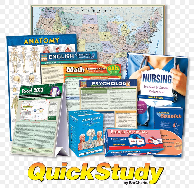 Study Skills Flashcard Information Anatomy Vocabulary, PNG, 800x795px, Study Skills, Advertising, Anatomy, Biochemistry, Biology Download Free