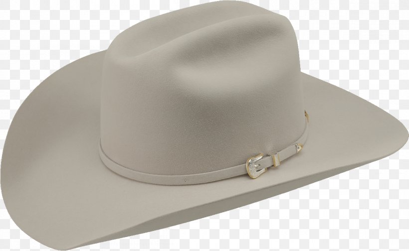 Cowboy Hat Felt American Hat Company, PNG, 1200x738px, Hat, American Hat Company, Buckle, Business, Color Download Free