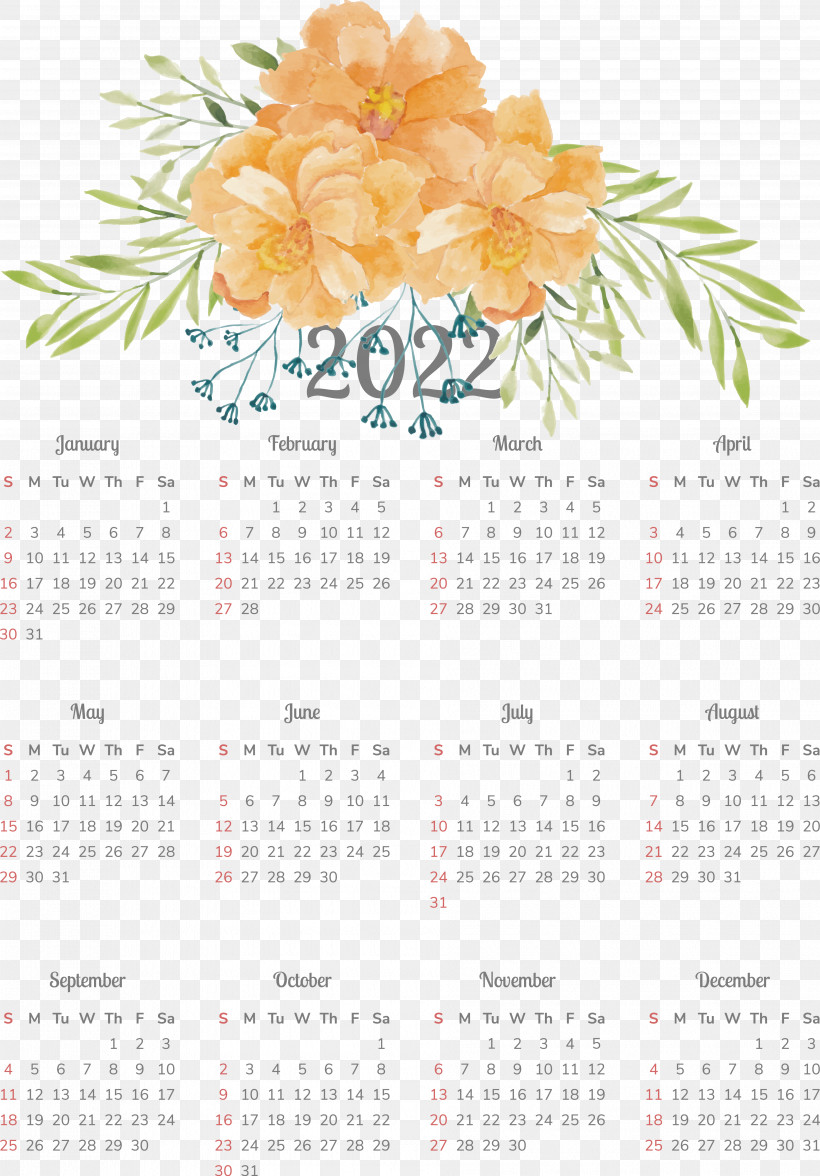 Flower Calendar 2011 Plant Science, PNG, 3768x5404px, Flower, Biology, Calendar, Plant, Science Download Free