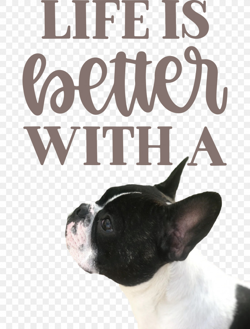 Life Better, PNG, 2275x2999px, Life, Better, Boston Terrier, Breed, Dog Download Free