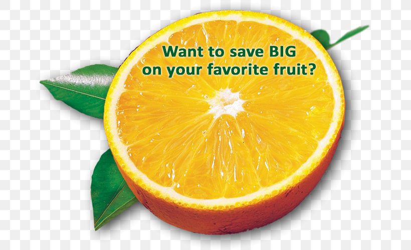 Tangelo Mandarin Orange Rangpur Bitter Orange, PNG, 691x500px, Tangelo, Bitter Orange, Citric Acid, Citrus, Citrus Junos Download Free