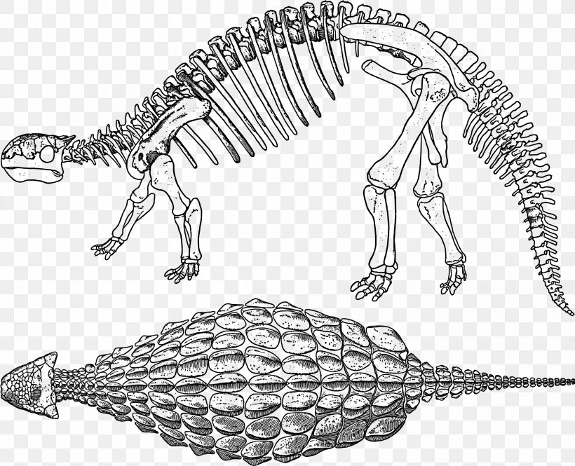 Ankylosaurus Tyrannosaurus Stegosaurus Dinosaur Euoplocephalus, PNG, 2400x1949px, Ankylosaurus, Ankylosauridae, Armour, Artwork, Barnum Brown Download Free
