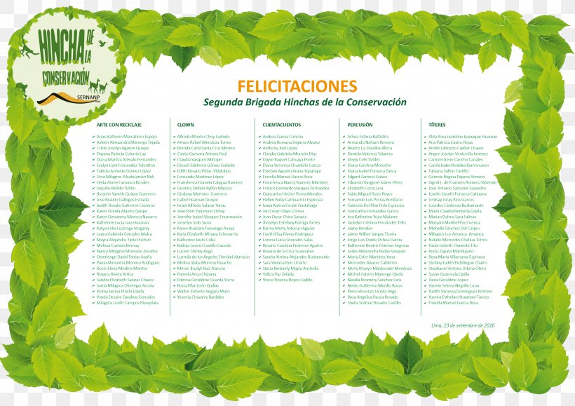 Leaf Vegetable Herb Tree, PNG, 3508x2480px, Leaf, Grass, Green, Herb, Leaf Vegetable Download Free