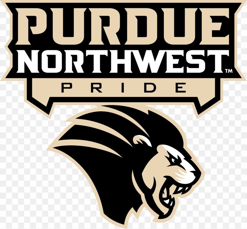 Purdue University Northwest Hammond Truman State University Athlete, PNG, 1509x1401px, Purdue University, Athlete, Athletic Director, Brand, Fictional Character Download Free