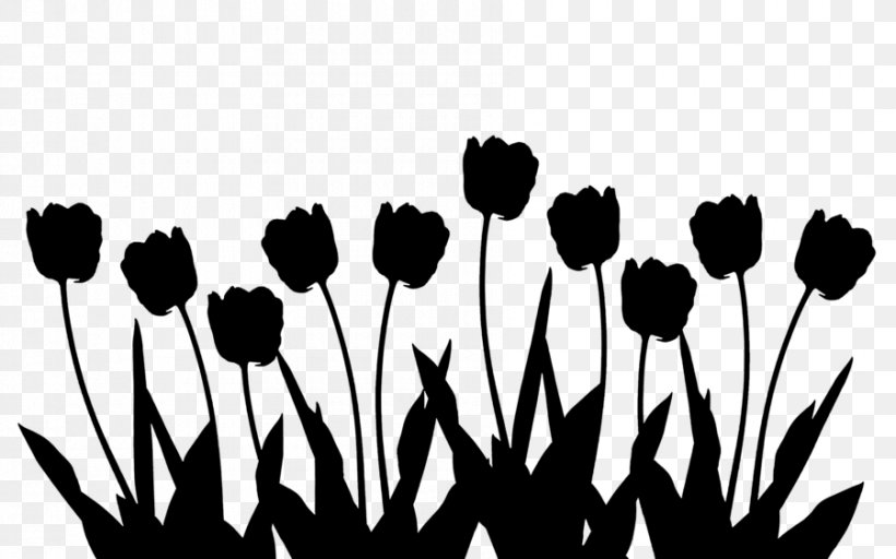 Tulip Stock Photography Table Flower, PNG, 900x563px, Tulip, Black And White, Blackandwhite, Botany, Flower Download Free