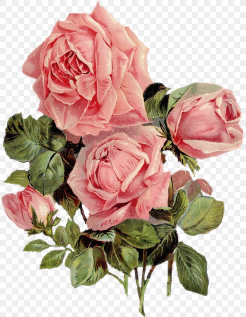 Cut Flowers Centifolia Roses Yarn Garden Roses, PNG, 839x1080px, Cut Flowers, Artificial Flower, Bobbin, Centifolia Roses, Crossstitch Download Free
