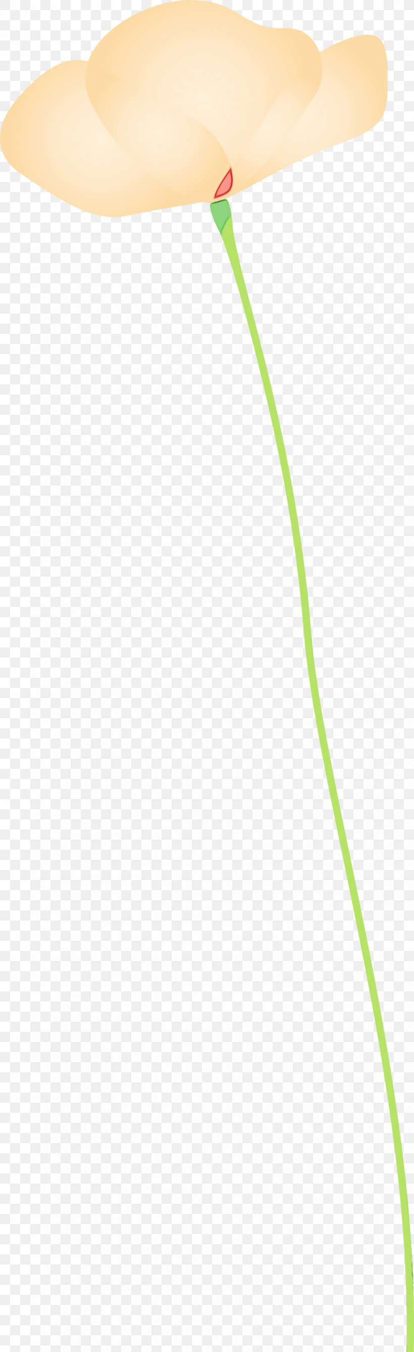 Green Line Leaf Grass Family Plant, PNG, 920x3000px, Poppy Flower, Grass, Grass Family, Green, Leaf Download Free