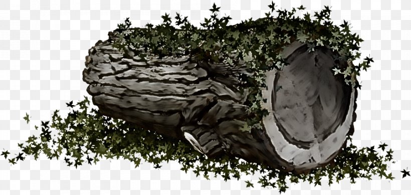 Tree Trunk Drawing, PNG, 900x429px, Wood, Construction, Construction En Bois, Drawing, Grume Download Free