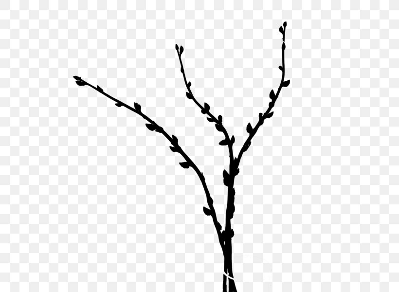 Twig Plant Stem Leaf Font Line, PNG, 600x600px, Twig, Blackandwhite, Branch, Flower, Leaf Download Free