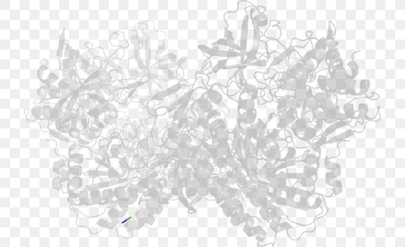 White Drawing /m/02csf Line Font, PNG, 723x500px, White, Black And White, Branch, Drawing, Flora Download Free