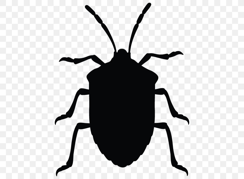 Insect Brown Marmorated Stink Bug True Bugs Vector Graphics Clip Art, PNG, 600x600px, Insect, Artwork, Beetle, Black And White, Brown Marmorated Stink Bug Download Free