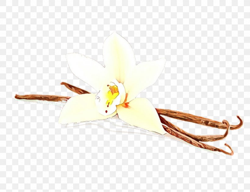 Vanilla Plant Flower, PNG, 1003x769px, Cartoon, Flower, Plant, Vanilla Download Free