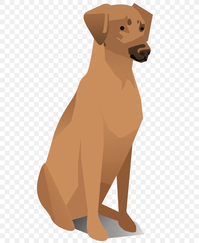 Dog Breed Rhodesian Ridgeback Retriever Companion Dog Sporting Group, PNG, 700x1000px, Dog Breed, Carnivoran, Companion Dog, Dog, Dog Breed Group Download Free