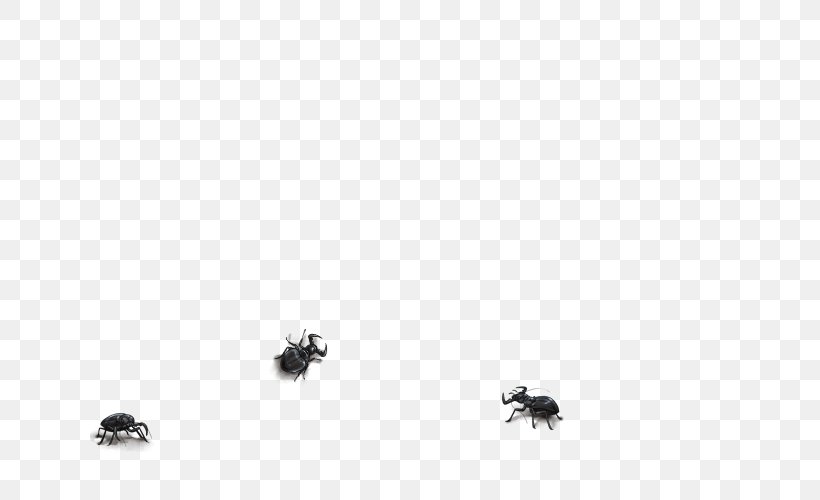 Insect Desktop Wallpaper Pollinator Computer Font, PNG, 640x500px, Insect, Black, Black And White, Black M, Computer Download Free