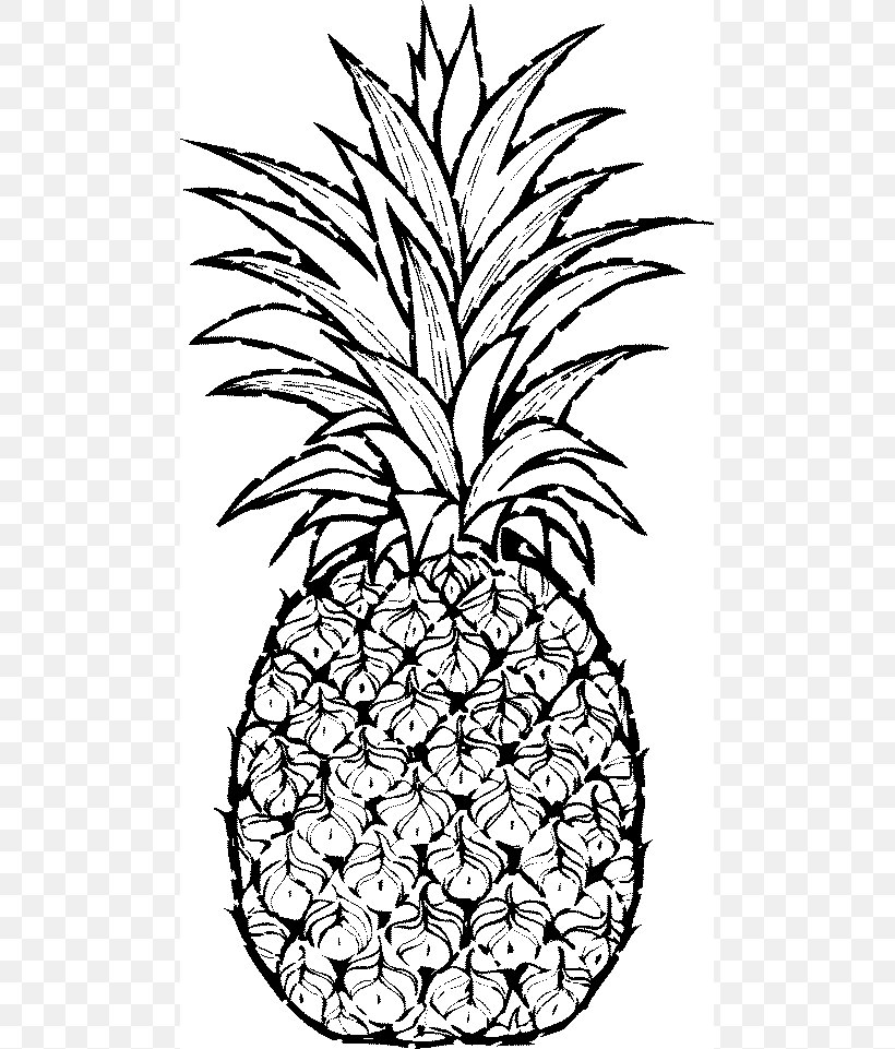 Pineapple Drawing Clip Art, PNG, 489x961px, Pineapple, Art, Artwork, Black And White, Branch Download Free