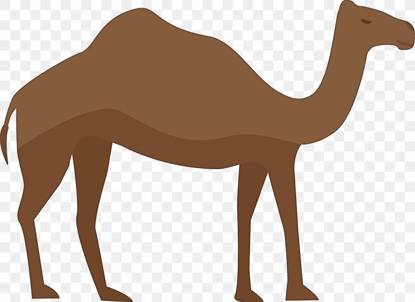 Arabic Culture, PNG, 3000x2190px, Arabic Culture, Arabian Horse, Bactrian Camel, Camel Train, Camelids Download Free