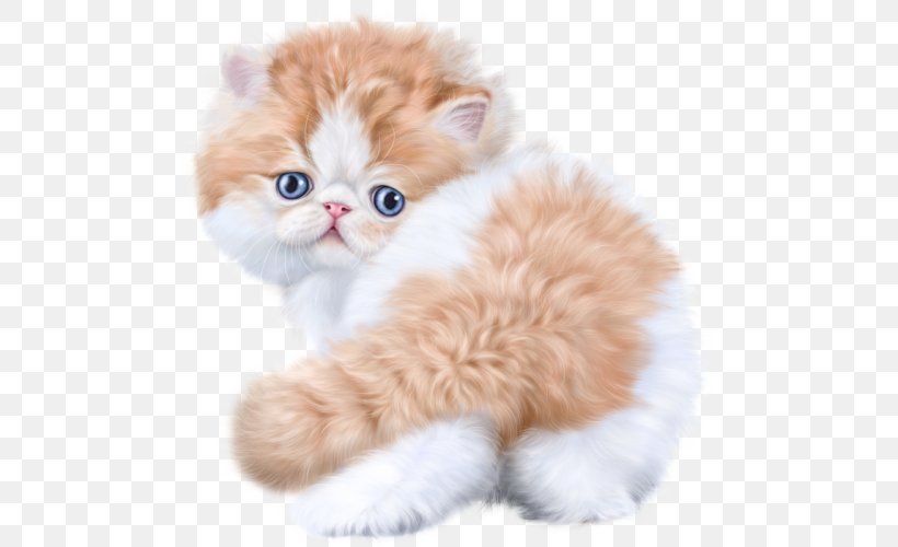 Animation Cat Clip Art, PNG, 500x500px, Animation, British Semi Longhair, Carnivoran, Cat, Cat Like Mammal Download Free