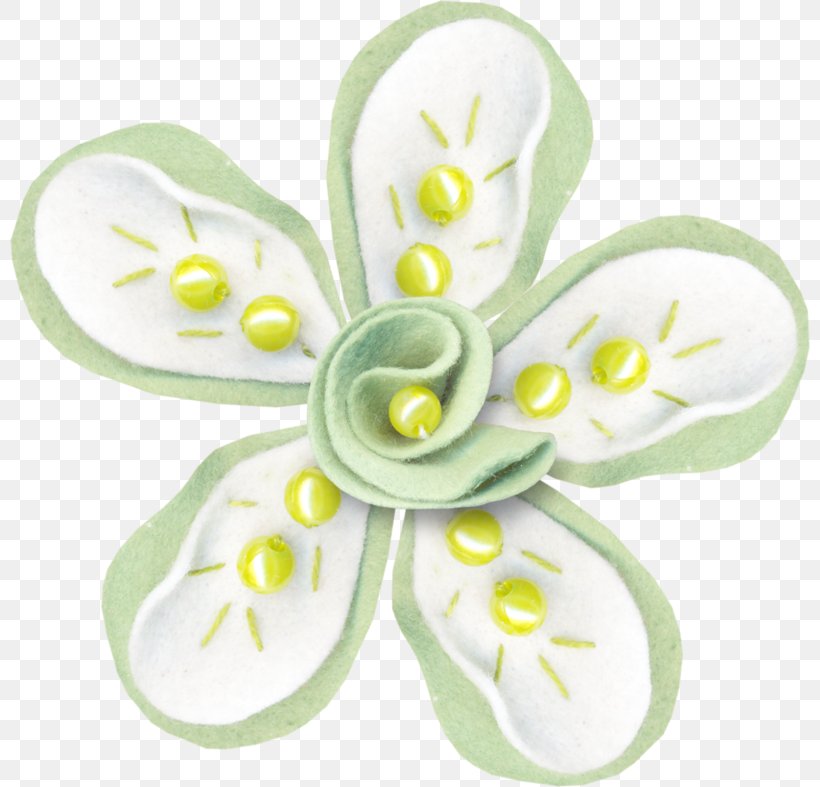 Moth Orchids Cut Flowers Shoe Petal, PNG, 800x787px, Moth Orchids, Cut Flowers, Flower, Flowering Plant, Material Download Free