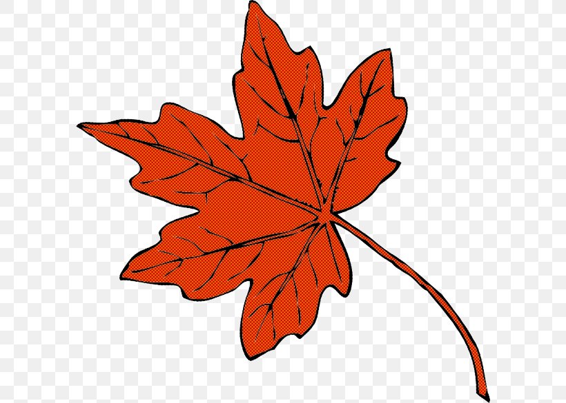 Maple Leaf, PNG, 600x585px, Leaf, Black Maple, Flowering Plant, Maple Leaf, Orange Download Free
